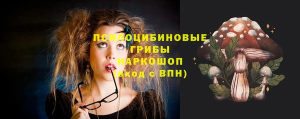 СК Белокуриха